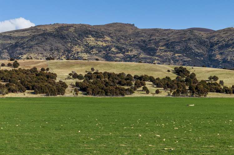 Lot 3, Northview Terraces Luggate_11