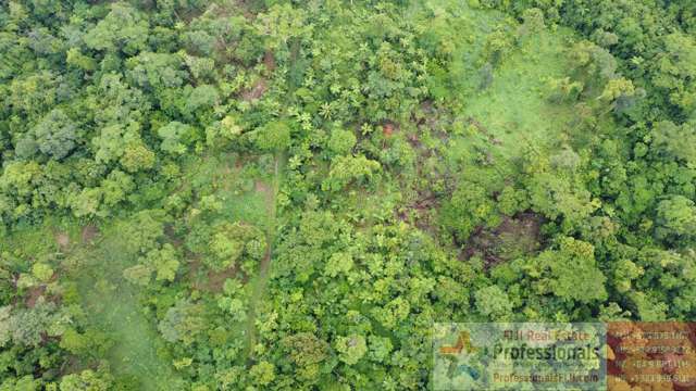 Address withheld Taveuni_4