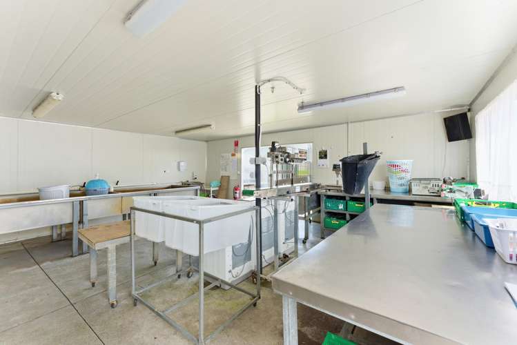 16 Lupton Street Waverley_13