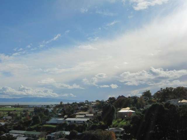 104 Alexander Close Thames_3