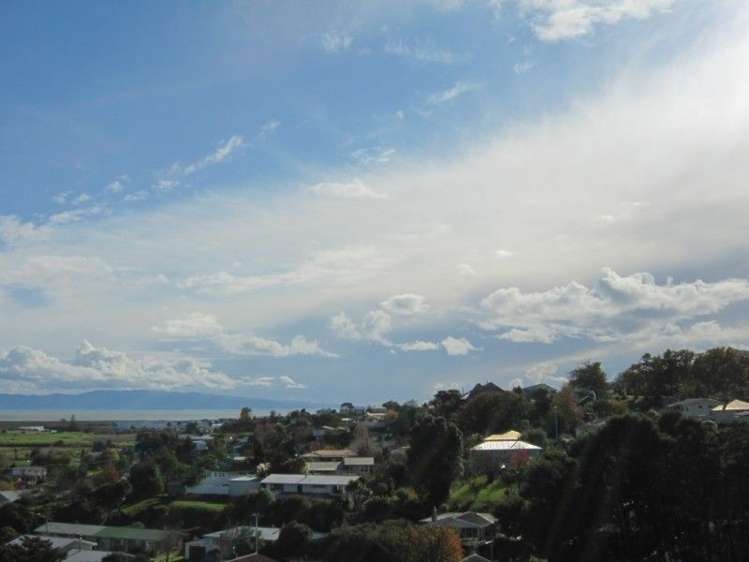 104 Alexander Close Thames_3