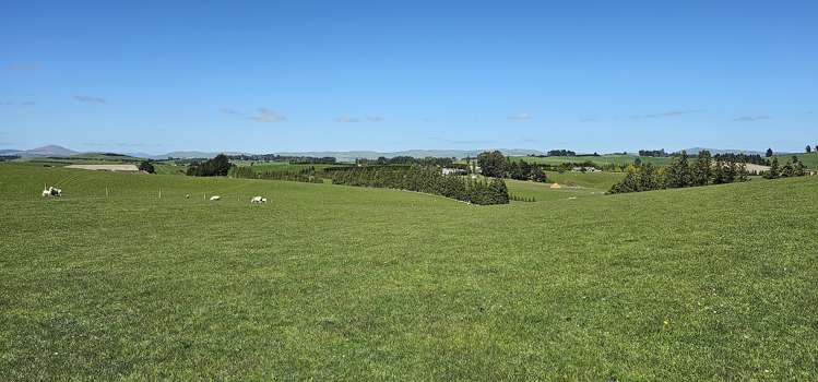 919 Miller Road Clinton and Surrounds_19