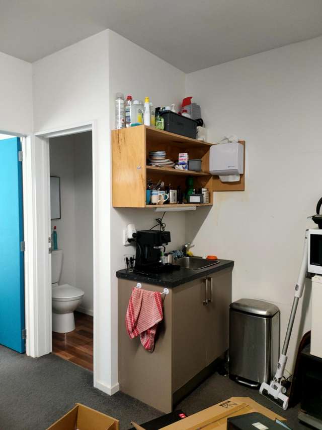 173B Waltham Road Sydenham_3