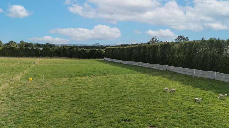 865B Oropi Road Oropi_13