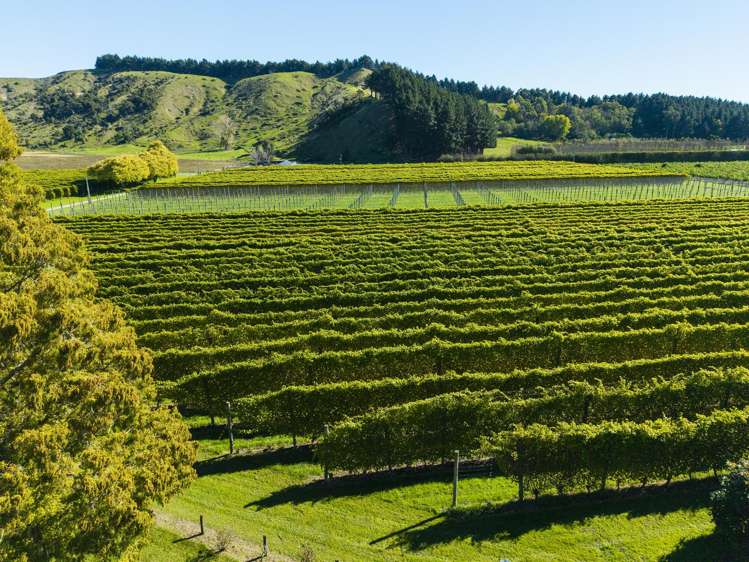 139 Taurau Valley Road Manutuke_13