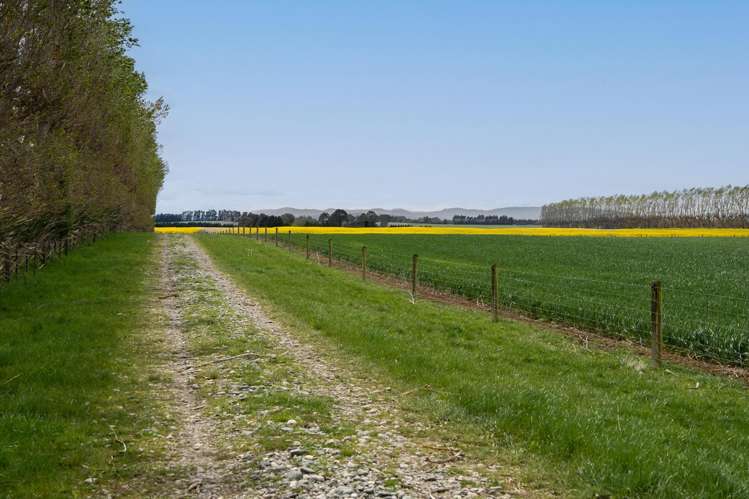 130 Warr Road Balfour_14