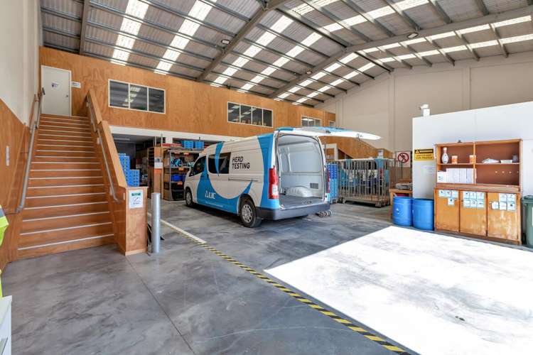 17 Dyer Street Whangarei_10
