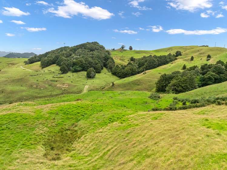 Hayward Road Maungakaramea_6