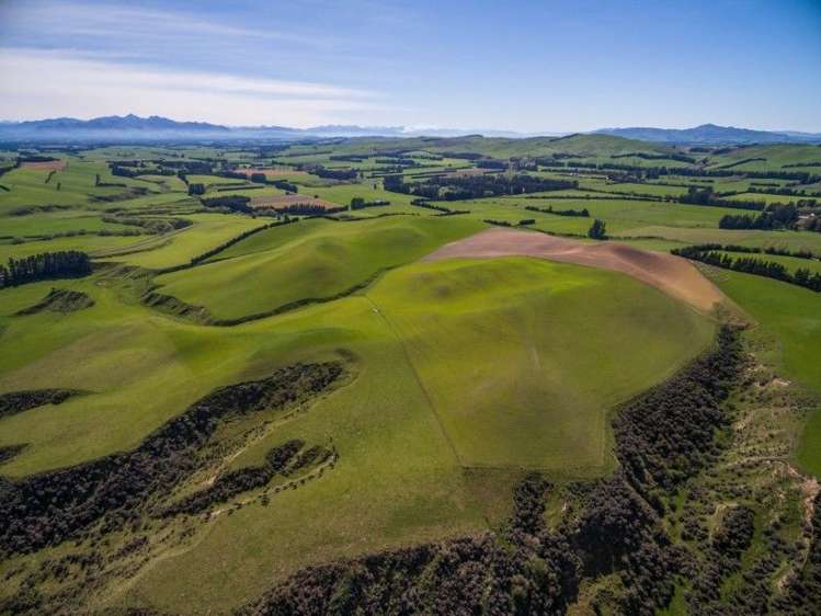 307 Broxton Road MacDonald Downs_6