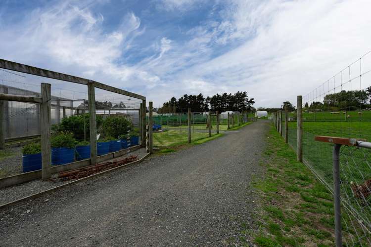 78 East Road Ascot_23