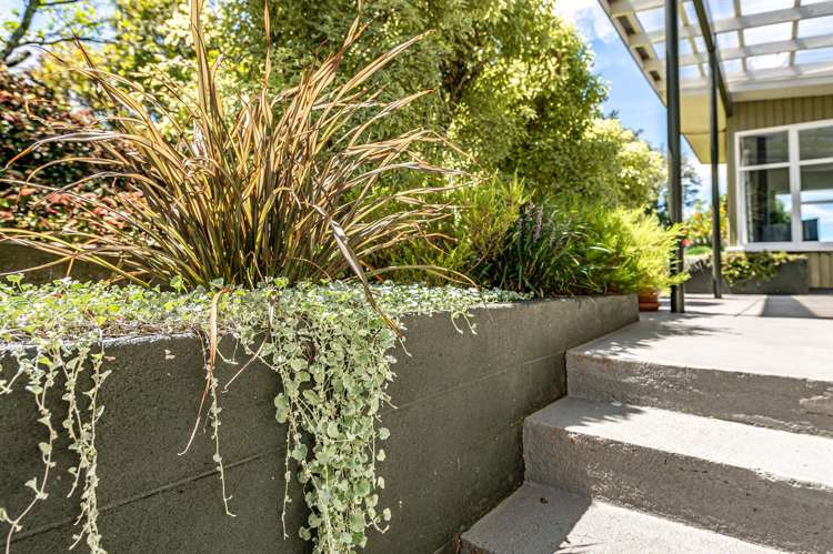 11 Smart Terrace St Johns Hill_4