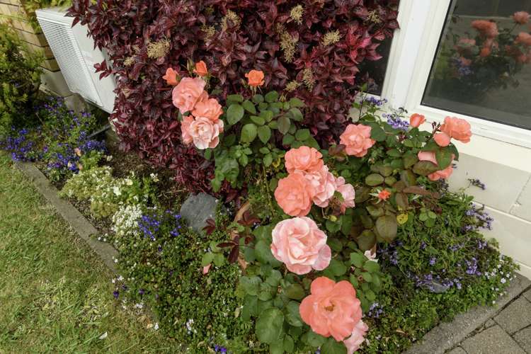 10/492 Otumoetai Road Otumoetai_14