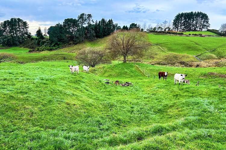 4 Owaikura Road Otorohanga_19