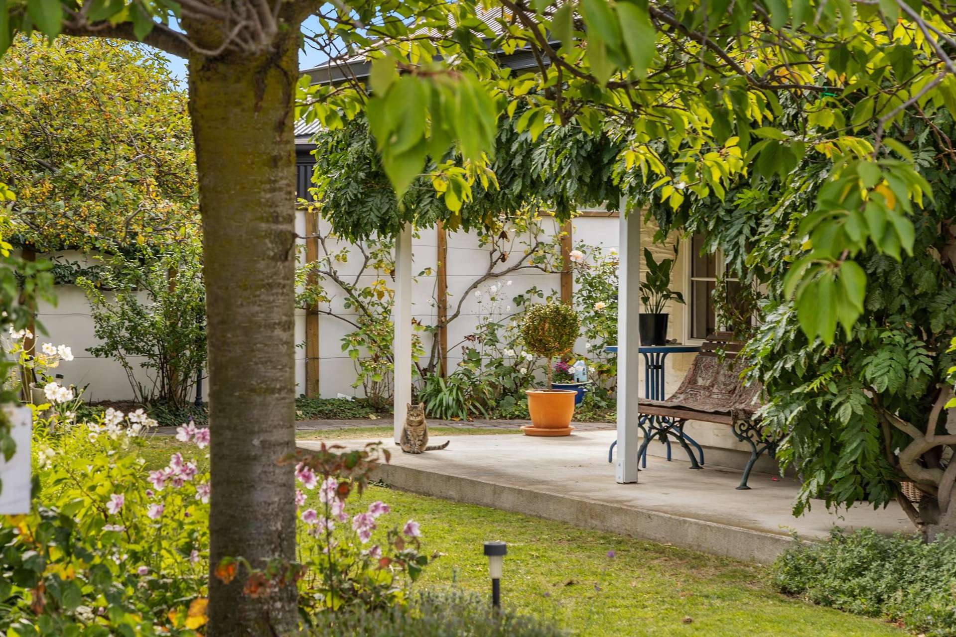 20 Monaghan Street Cromwell_0