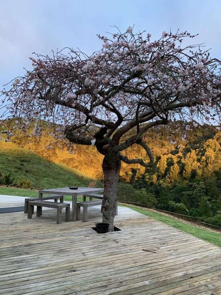 128d Otonga Valley Road Raglan_14