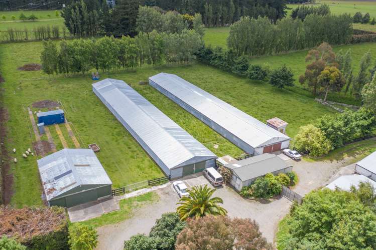 5 Fawcetts Road Ashley_22