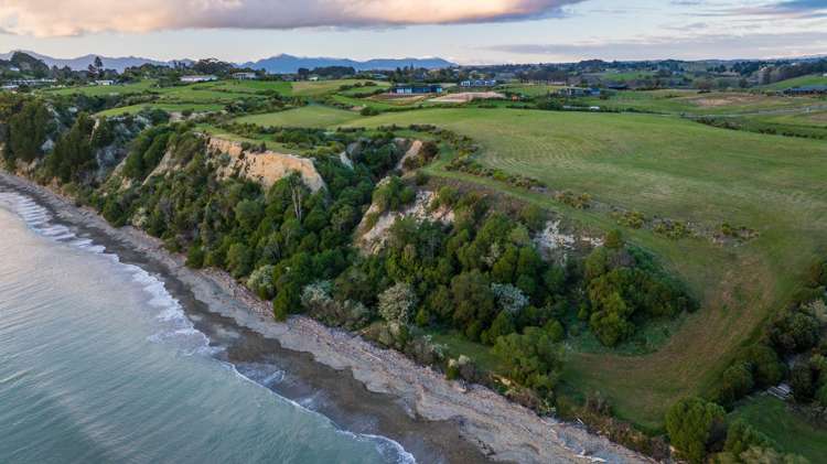 45 Deck Road Tasman_8