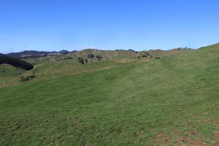 259 Elgood Road Ngaruawahia_28