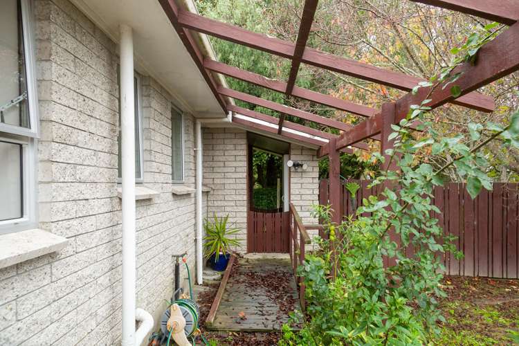 35b Pine Avenue Bader_13