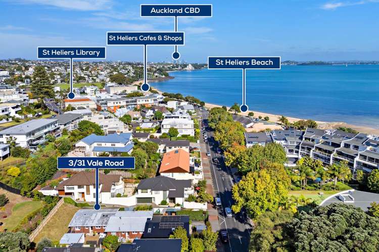 3/31 Vale Road St Heliers_18