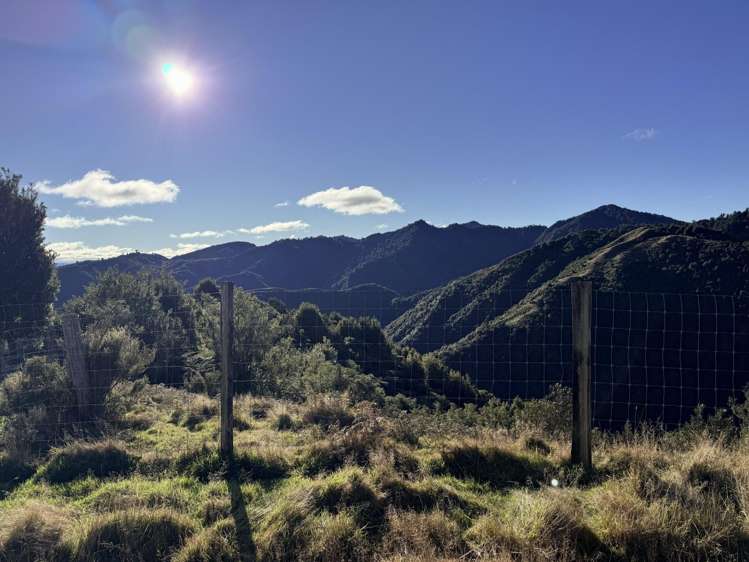 7957 State Highway 2 Opotiki Surrounds_18