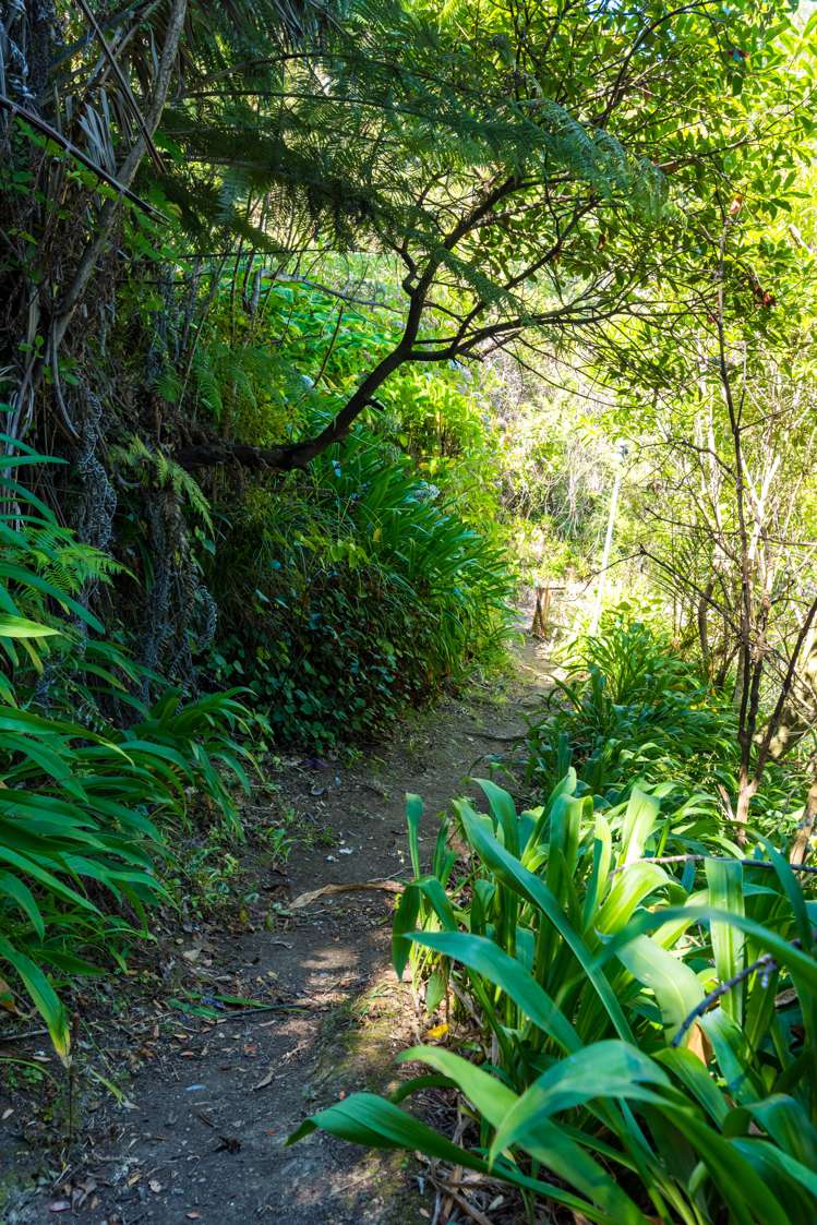 799 Kenepuru Road Mahau Sound_17