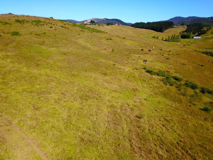 359b Kaitaia Awaroa Rd Kaitaia Rd1_40