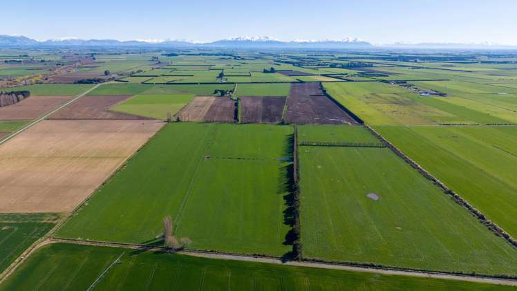 1467 Boundary Road Ashburton_35