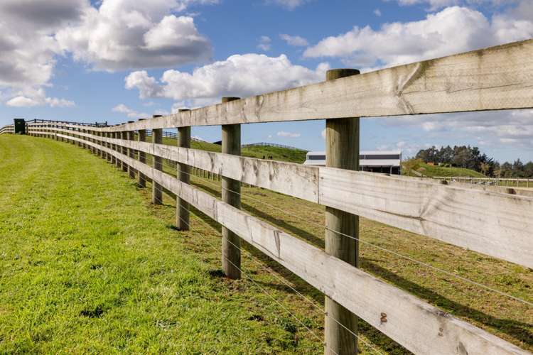 16 Betty May Drive Pyes Pa_16