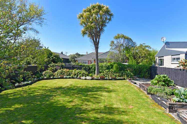 24 Albert Street Saint Clair_22