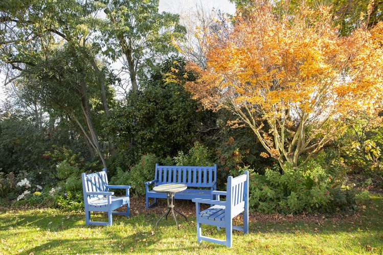 61 Park Street Ashburton_16