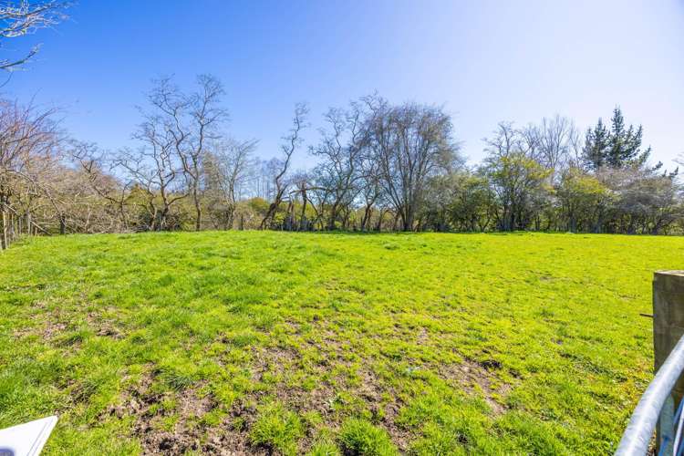 7 Ngahuia Place Te Awamutu_34