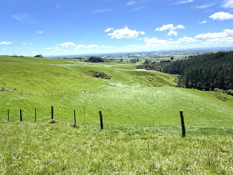 3/585 O'Shea Road Pirongia_17