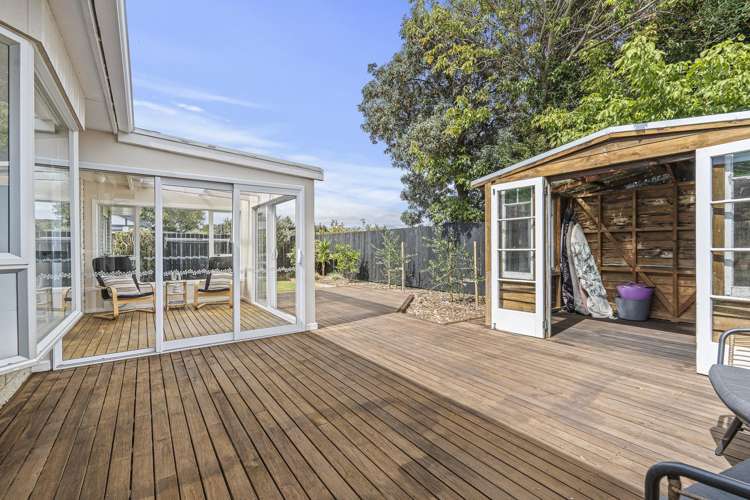 194A Carrington Street Vogeltown_16