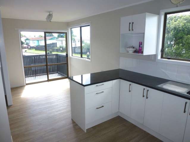 12 Hoturoa Place Manurewa_3