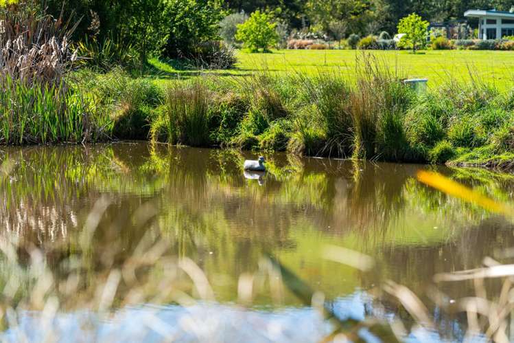 672G Te Whiti Road Masterton_29