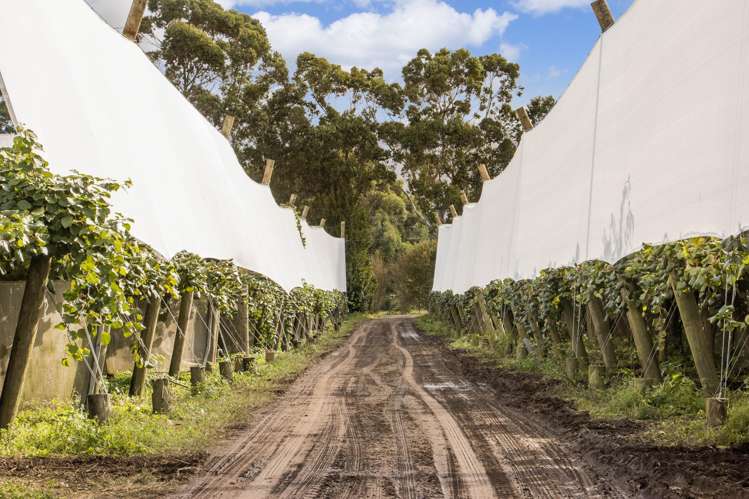 416 State Highway 2 Katikati_7