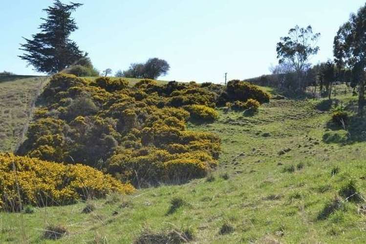 215 Green Island Bush Road Waldronville_12