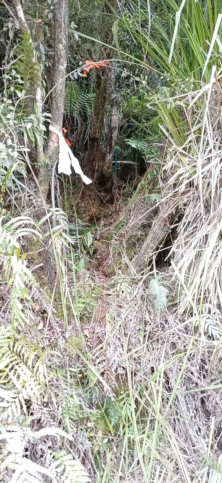 Ballarat Rise Awatuna_13