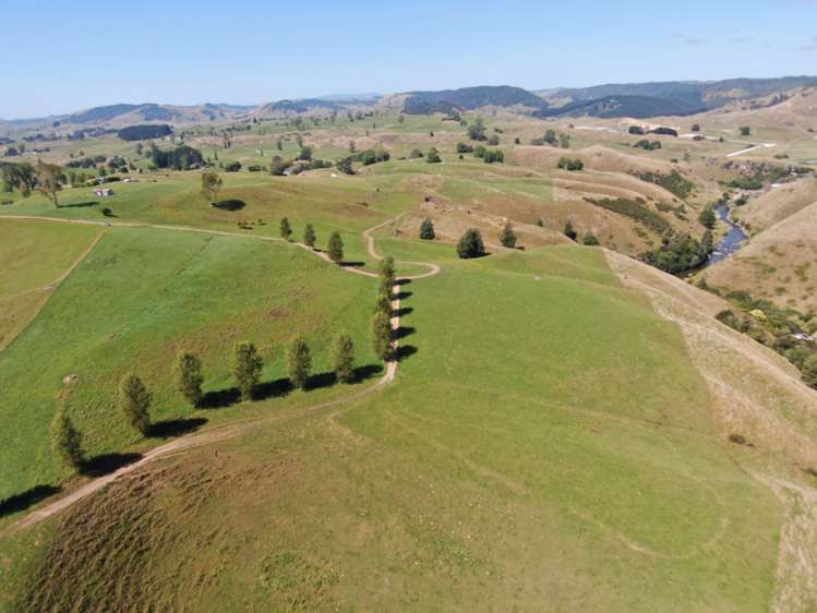 Paekaka Road Piopio_23