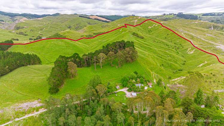 1655 Annedale Road Tinui_0