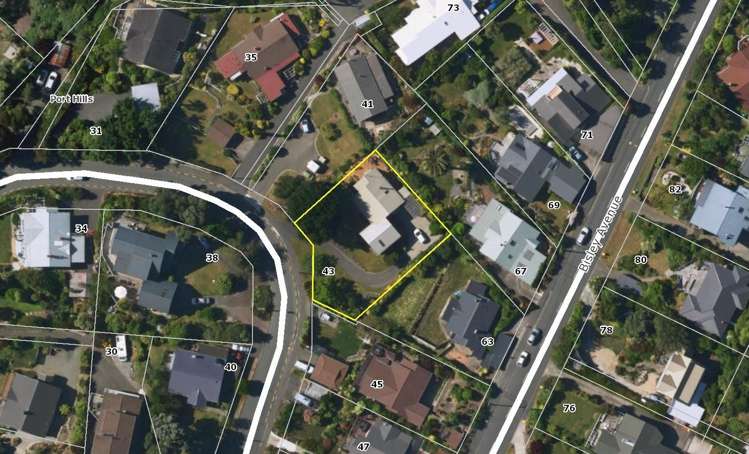 43 Bisley Avenue Moana_24