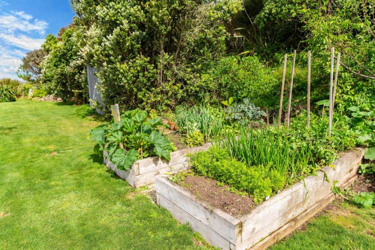 470 Tara Road Mangawhai_23