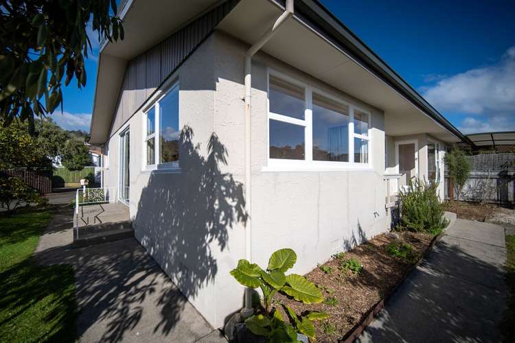 1/77a Halifax Street The Wood_17