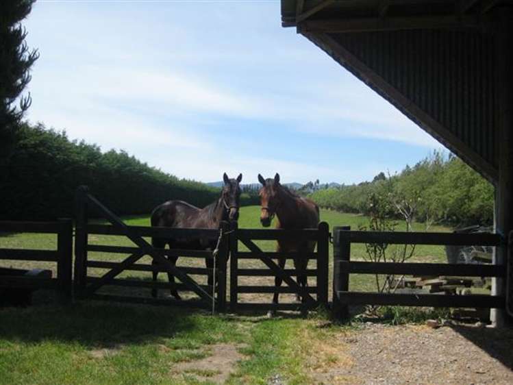 754 Waterholes Road Rolleston_10