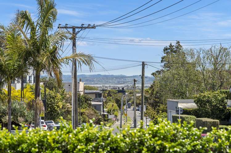 1/2 View Road Mount Eden_12