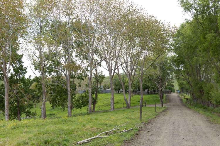 1557 Waihue Road Dargaville Surrounds_20