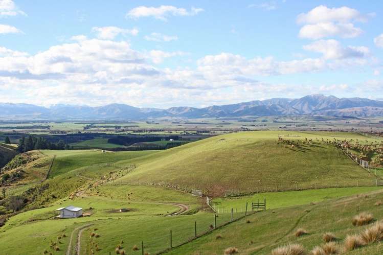 483 School Road Fairlie_10