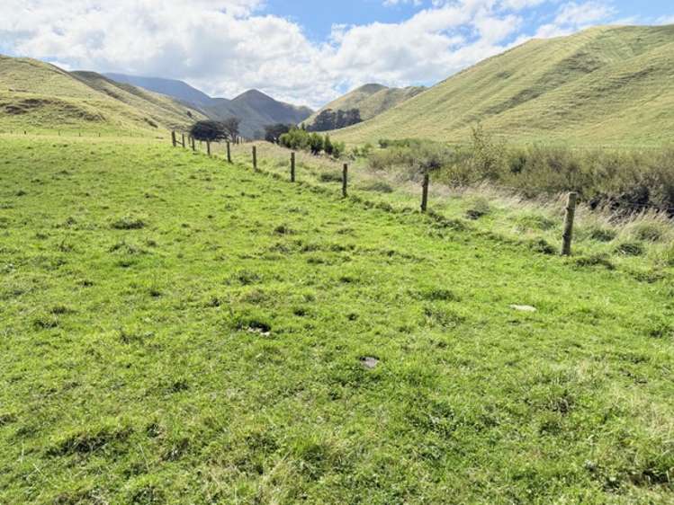 . Tamaki East Road Dannevirke_6