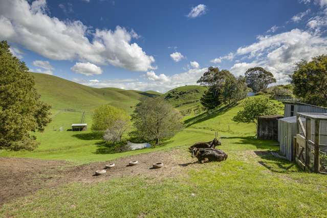 201 Endsleigh Road Havelock North_4